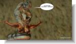 toss3d