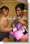 heavyhitters-05