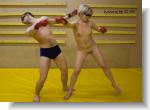 linxfight14
