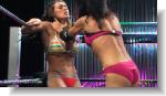 ringdivass13