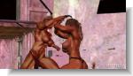 toss3d12